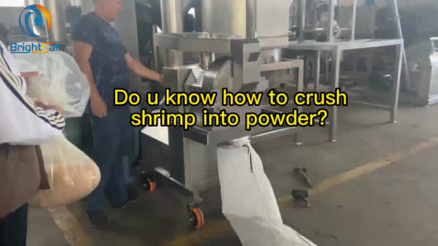 Do u know how to crush  shrimp into powder by Shrimp grinding machine？