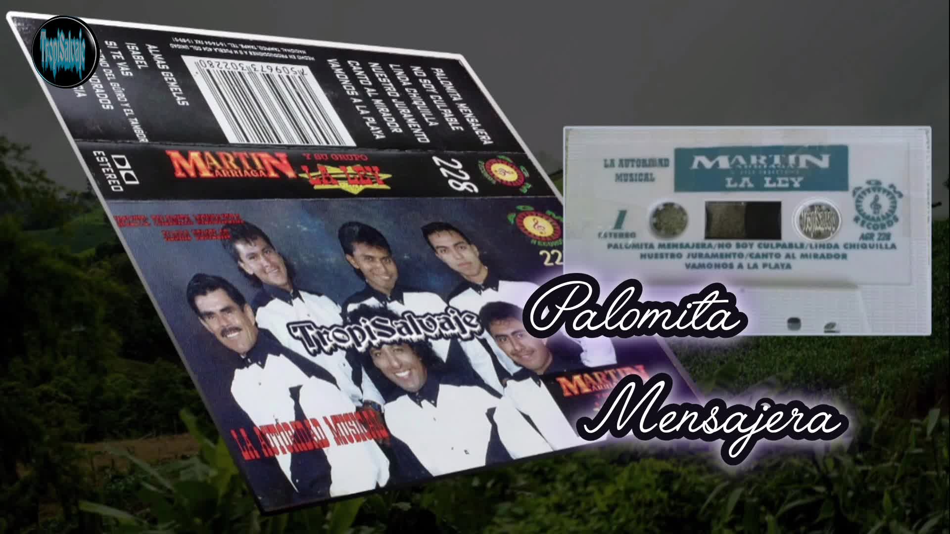 Martin Arriaga palomita Mensajera Martin Arriaga palomita Mensajera