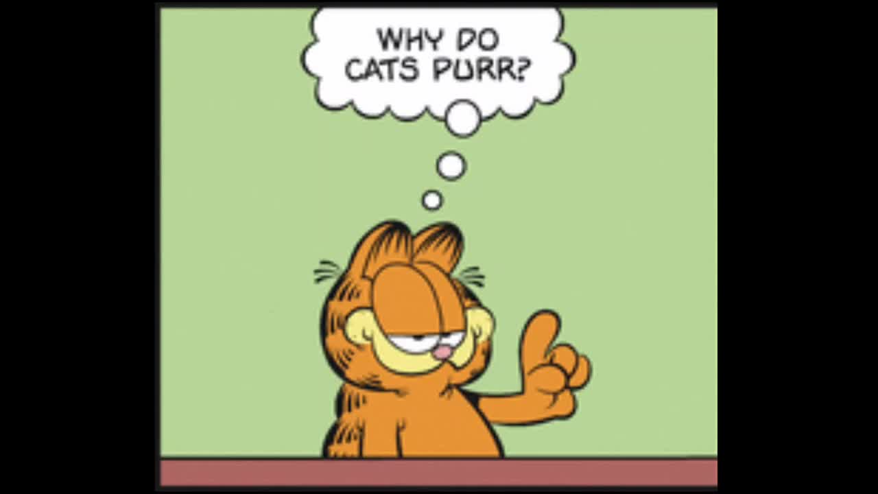 2025_05_10 Garfield Comic Dub