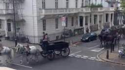 Britain is gradually moving to horse transport