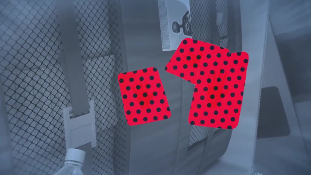 Miraculous: Startrain (Season 3 Episode 13)