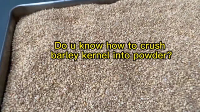 Do u know how to crush barley kernel into powder by barley grinder?