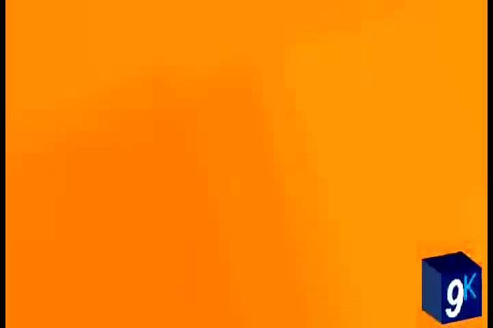 I Accidentally NET V2