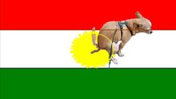 turkish-dog-shit-on-kurd-kurdish-kurdistan-flagg-krdstan