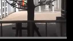 TEMPURA BOYZ bloopers (Be sure to watch episode 1) TEMPURA BOYZ bloopers (Be sure to watch episode 1)