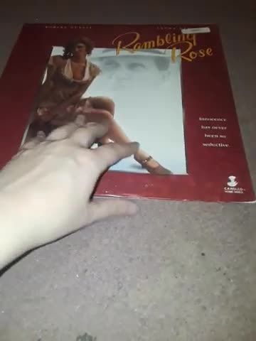 My Laserdisc collection