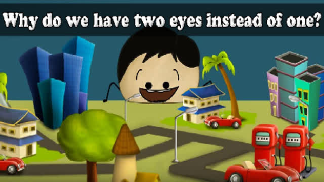 Why do we have two eyes instead of one?