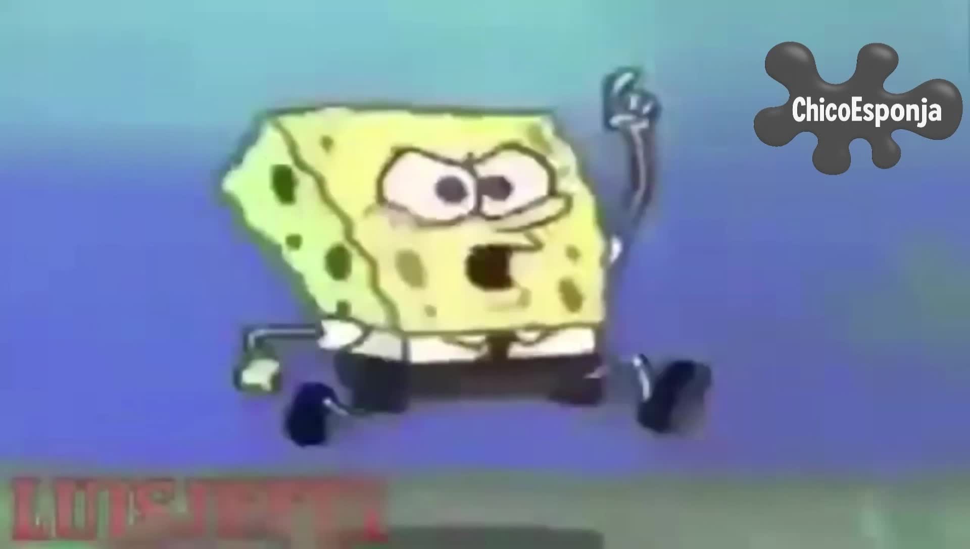 COLABO ESPONJA COLABO ESPONJA