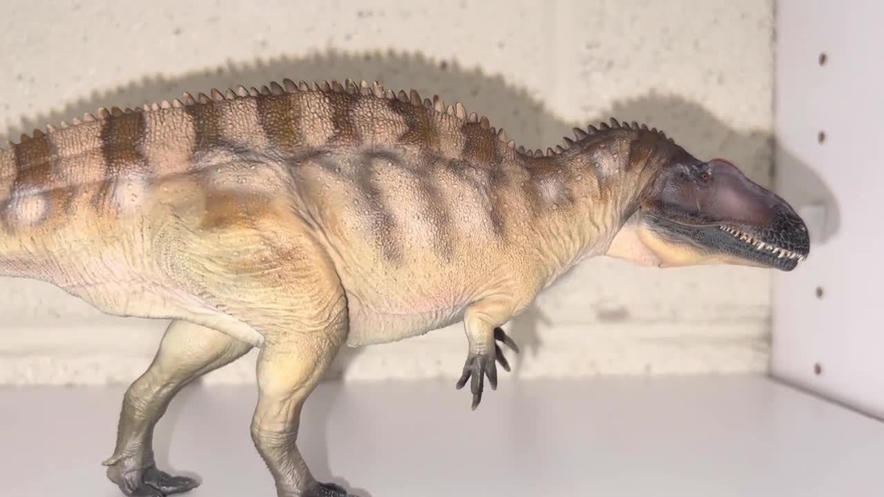 PNSO Fergus The Acrocanthosaurus Review