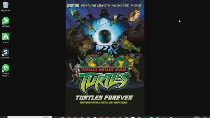 Turtles Forever Review