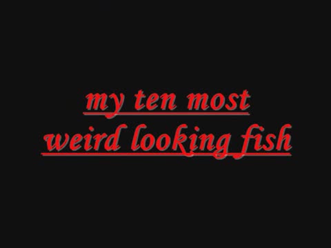 10 weird fish.