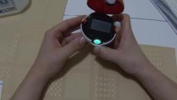 Pokeball- The Most Annoying Toy Man Has Ever Made
