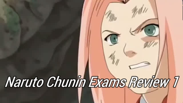 Chunin Exams Review Part 1
