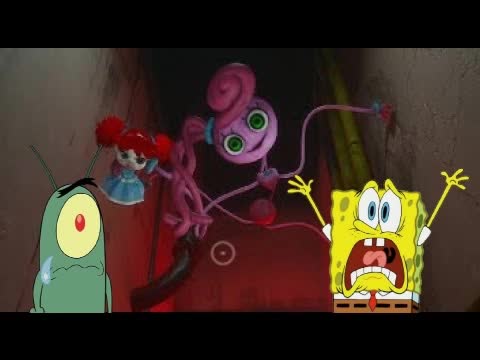 Mi-video-3