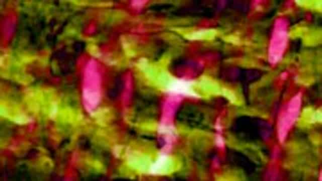 Irato - Bull of Heaven (full album)