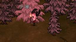 streamladder-itspreadsa