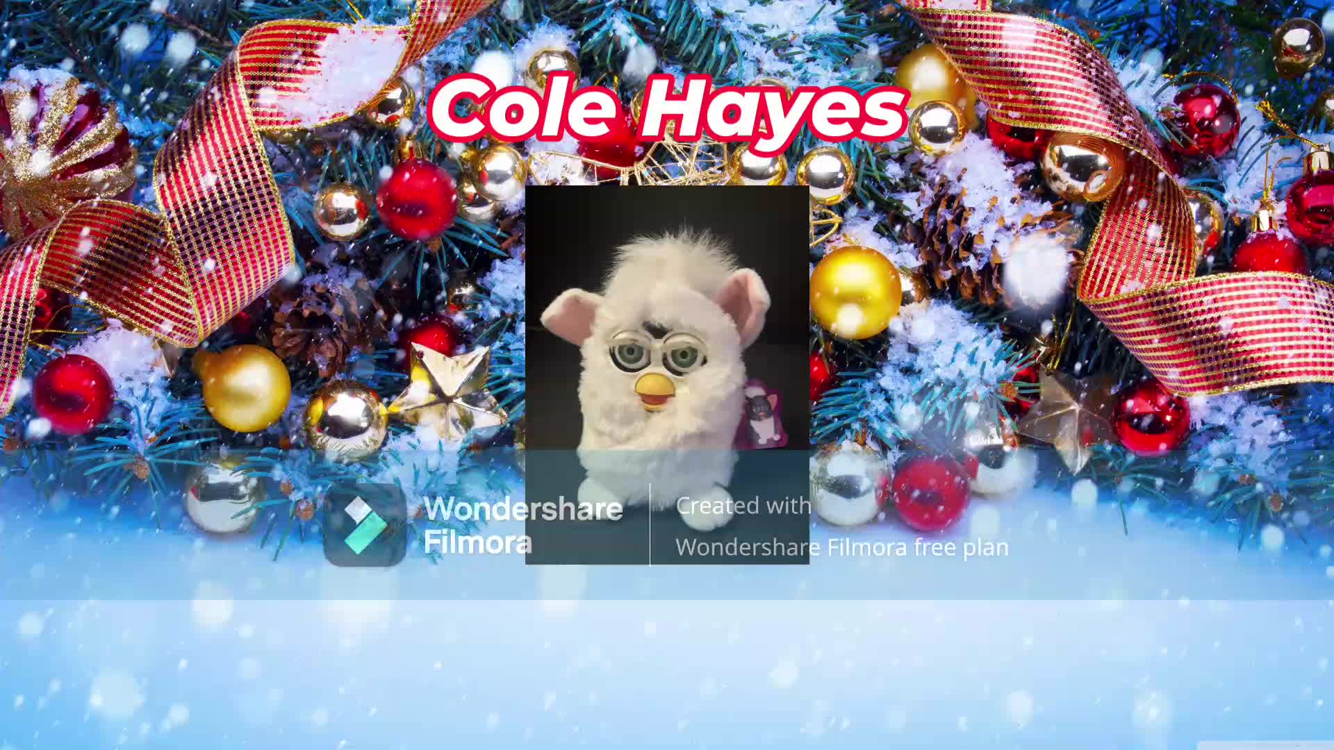 Cole Hayes All Stars Logo (Christmas) (WITHOUT PREMIERE)
