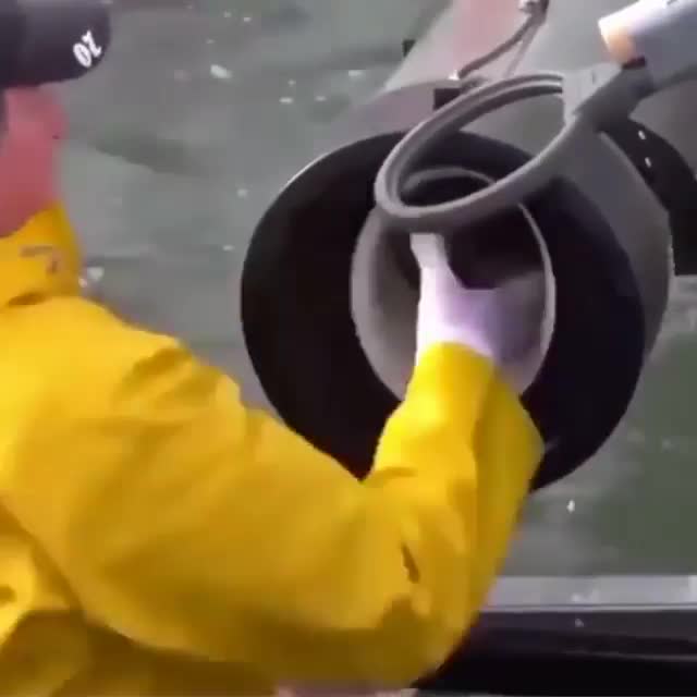 FISH IN A TUBE