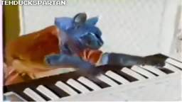 Keyboard Cat in G Major