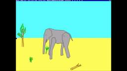 elephant tery davis