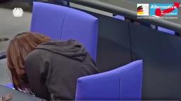 Rede im Bundestag gegen die Grünen Pädophile