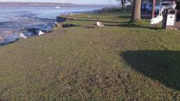 19 January 2020 At Manningtree Essex Weather Share video nice sunny day today