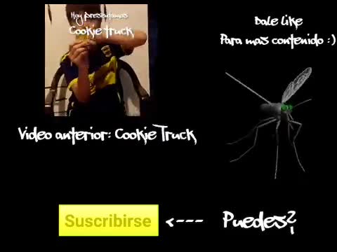 El Mosquito Molesto