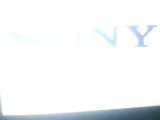 Sony Wonder (1991)