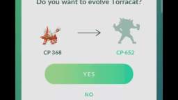 Pokémon GO-Evolving Shiny Torracat