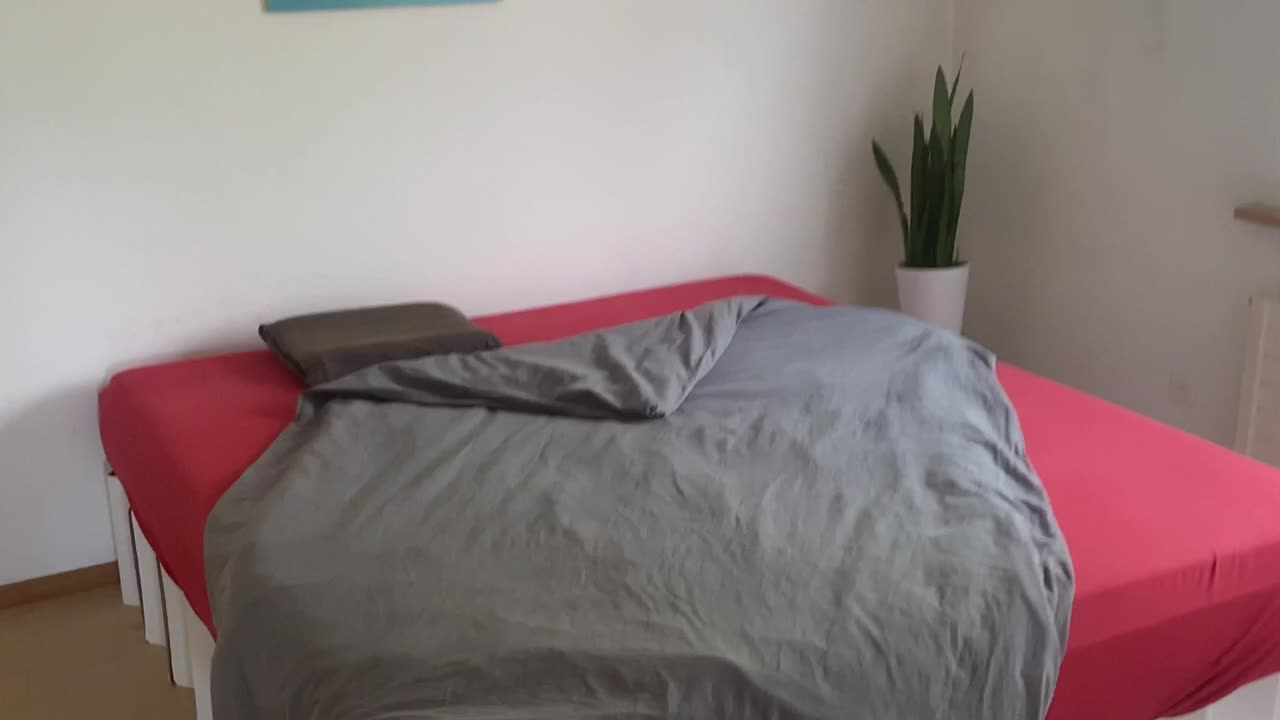 trim.2EEC122A-1D5F-453C-A717-3D6B3F63D694 trim.2EEC122A-1D5F-453C-A717-3D6B3F63D694