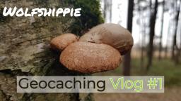 Erster GC-Vlog + Cache-Carnival-Punkte farmen + GC-ASMR-Part | Geocaching-Vlog #1