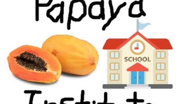 Exploring Papaya Institute (Recorded on June 25th 2022)