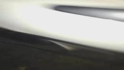 if there was no nut december