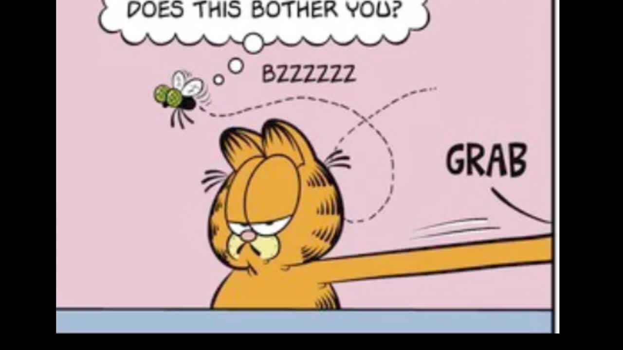 2026_09_06 Garfield Comic Dub