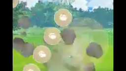 Pokémon GO PVP 21
