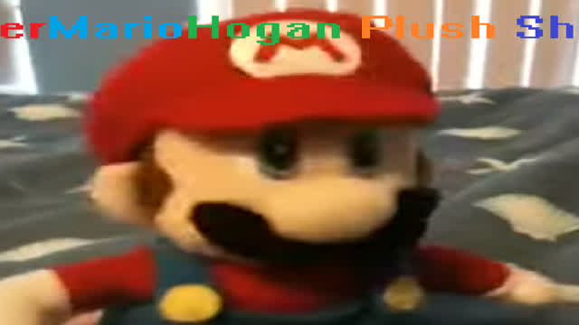 SuperMarioHogan Plush Show: Mario Dicusess things...