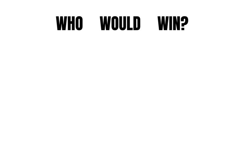 WHO WOULD WIN
