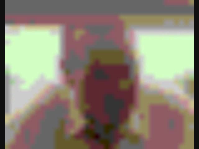 SCHIZOVID_0008