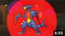 Pokémon Brick Bronze - Gym Leader Ryan (Ground Type) (720p)