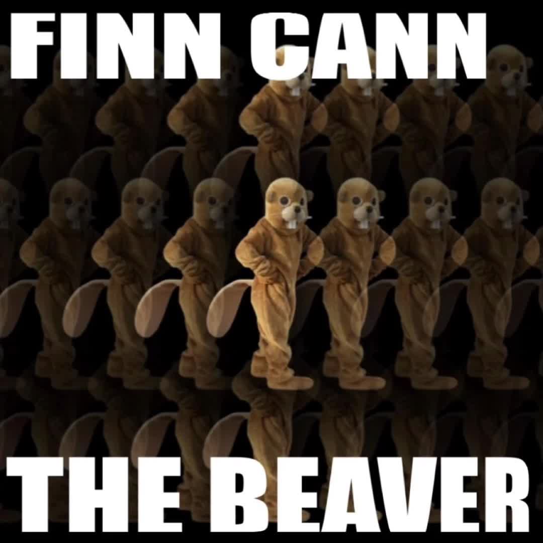 FINN CANN - The Beaver [official HD Audio]