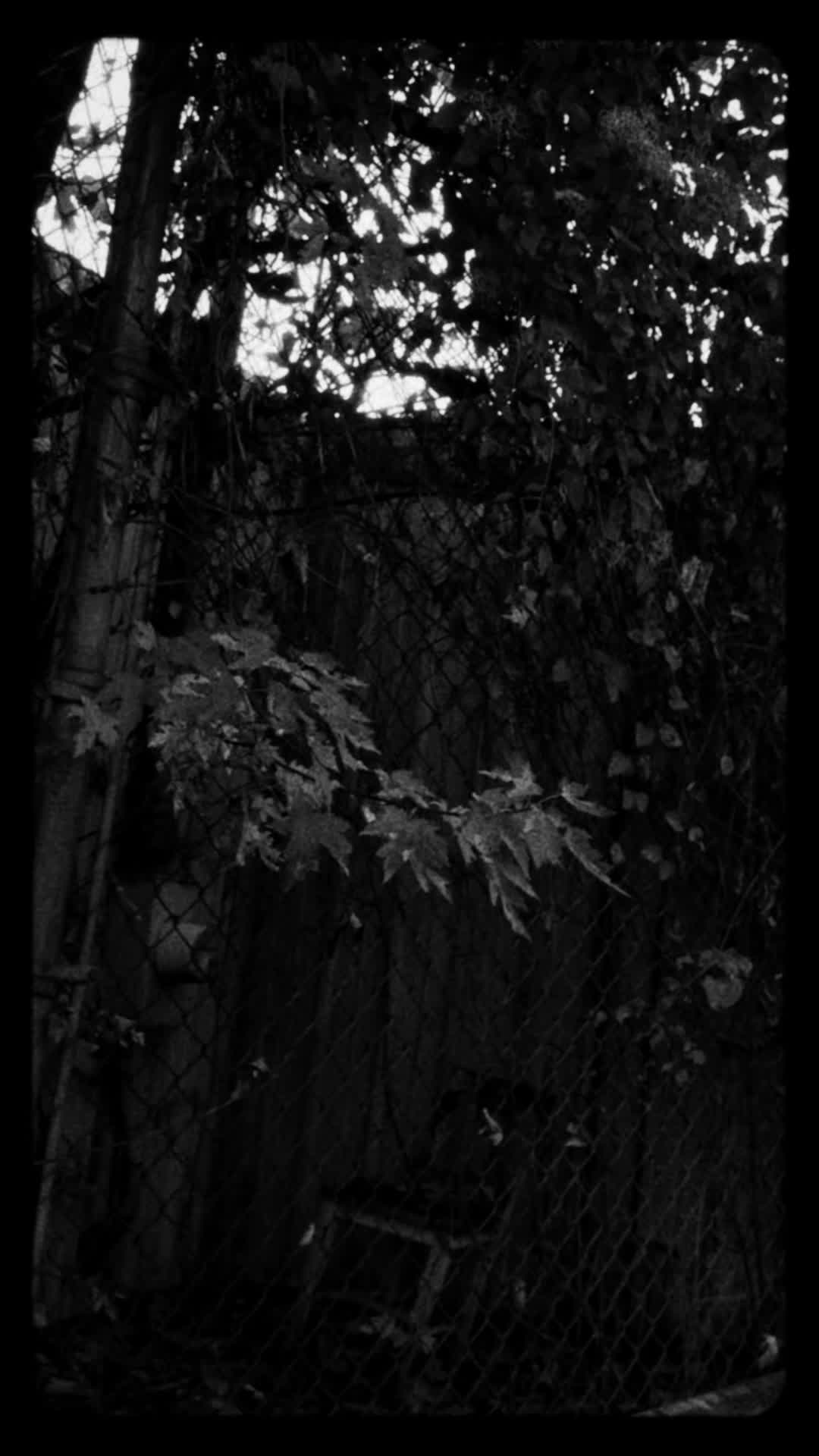 Walking around a HAUNTED CITY!