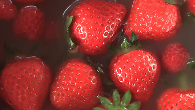 Random Vlog & Berry Tiramisu Random Vlog & Berry Tiramisu