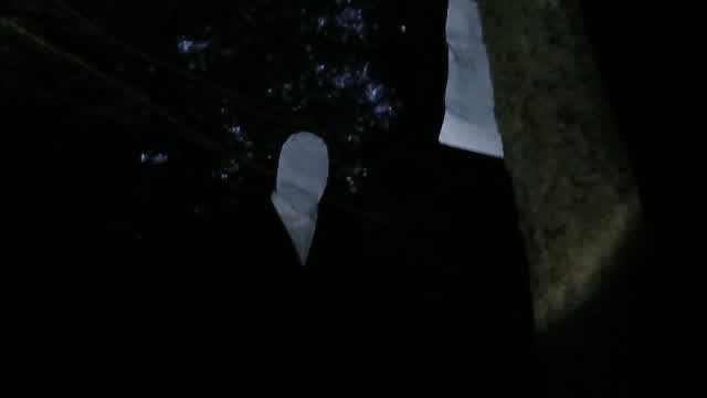 _slenderfoundfootage_720p_30f_20260724_105511 _slenderfoundfootage_720p_30f_20260724_105511
