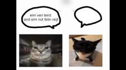 wucanit benou wucanit benou