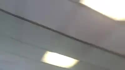 There goes lunch! (Pigeon enters Chinese restaurant) (2015)