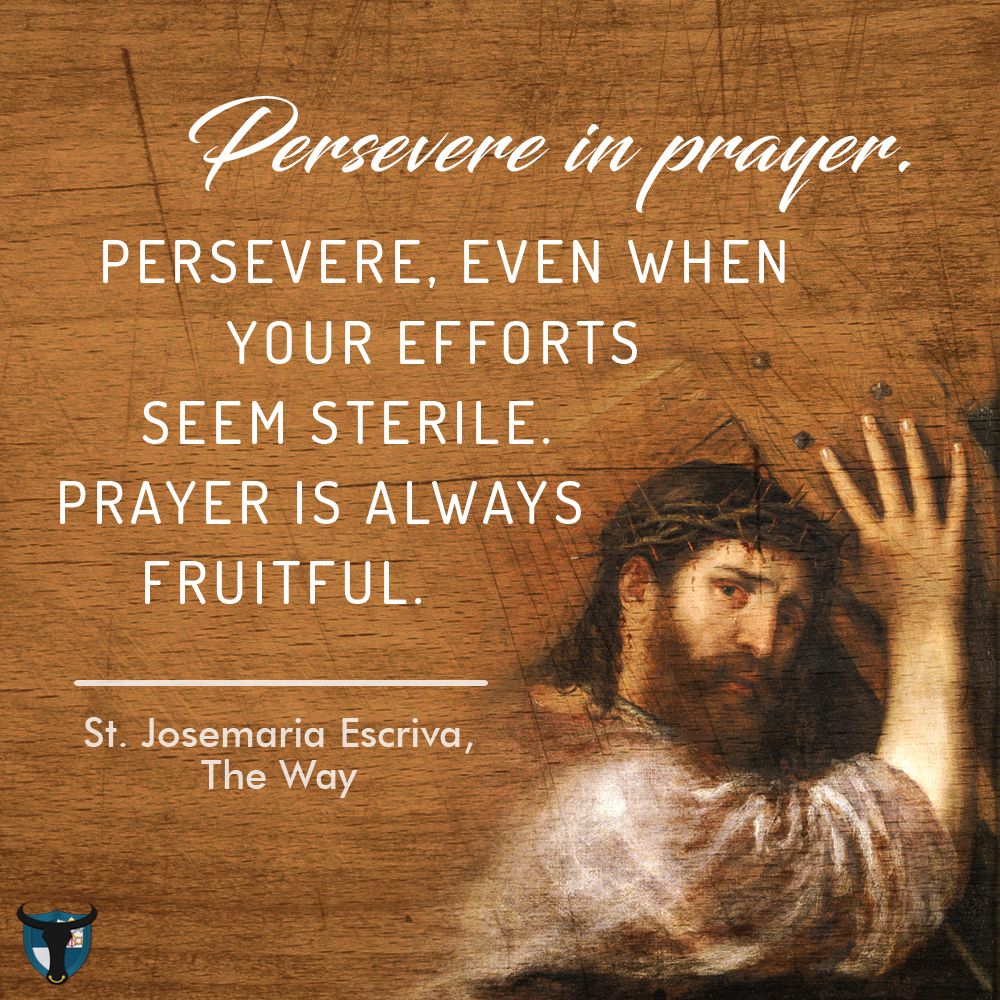 Un cántico nuevo Un cántico nuevo