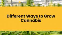 Different_Ways_to_Grow_Cannabis