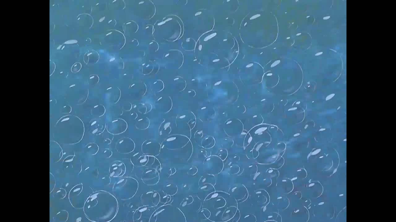 Test Sony Vegas