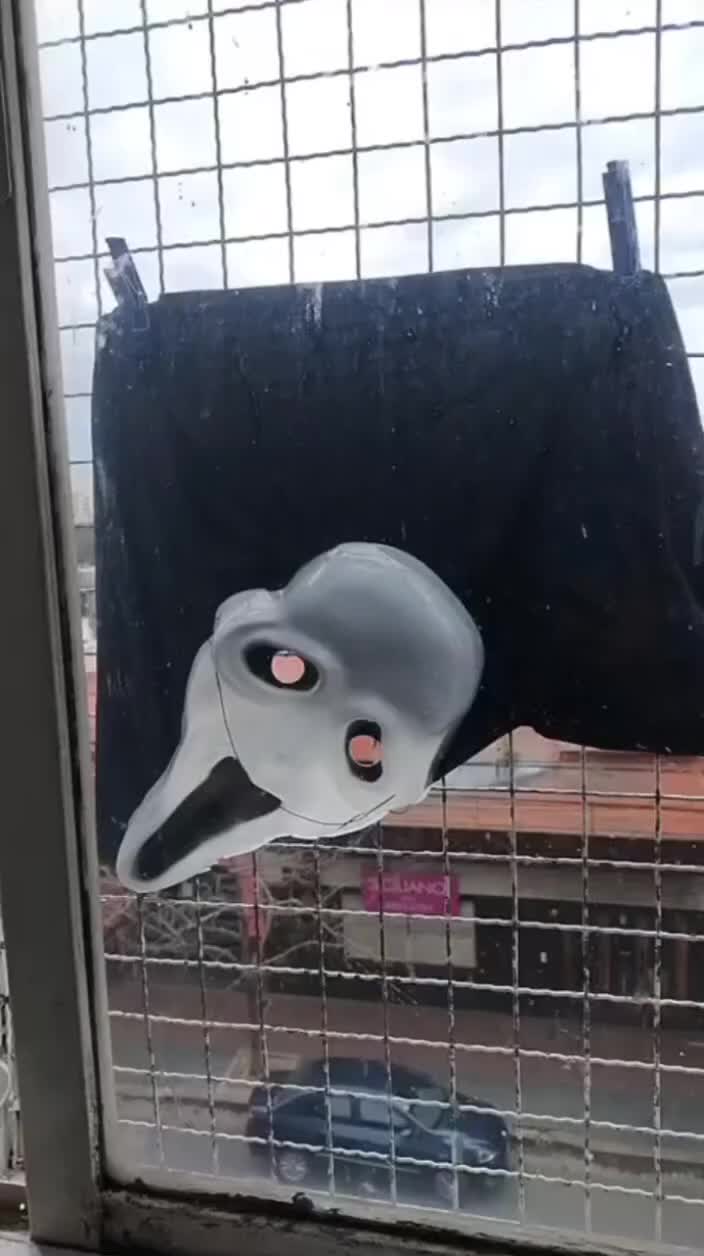 wazaaaaaaaa wazaaaaaaaa