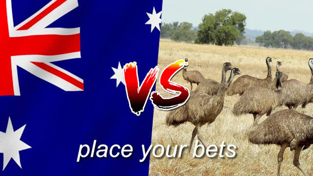 Waging War Against Literal Emus in AoH2